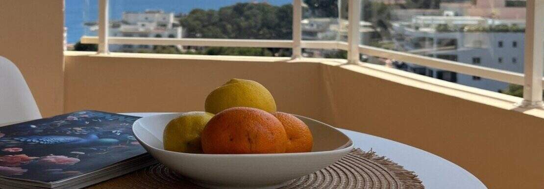 Terrace with sea view