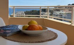 Modernized apartment with balcony and sea view.