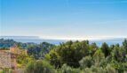 Ausblick 