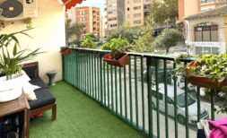 Charmante, neu renovierte Wohnung am Plaza Guillem Moragu