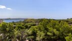 Ausblick