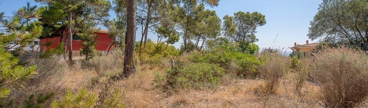 Bild zum Objekt: 1.287m² Baugrundstück mit Meerblick zu verkaufen
