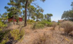 Exklusives Baugrundstück mit Meerblick in Cala Vinyes