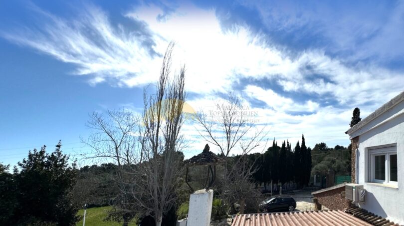 Blick vom Haus