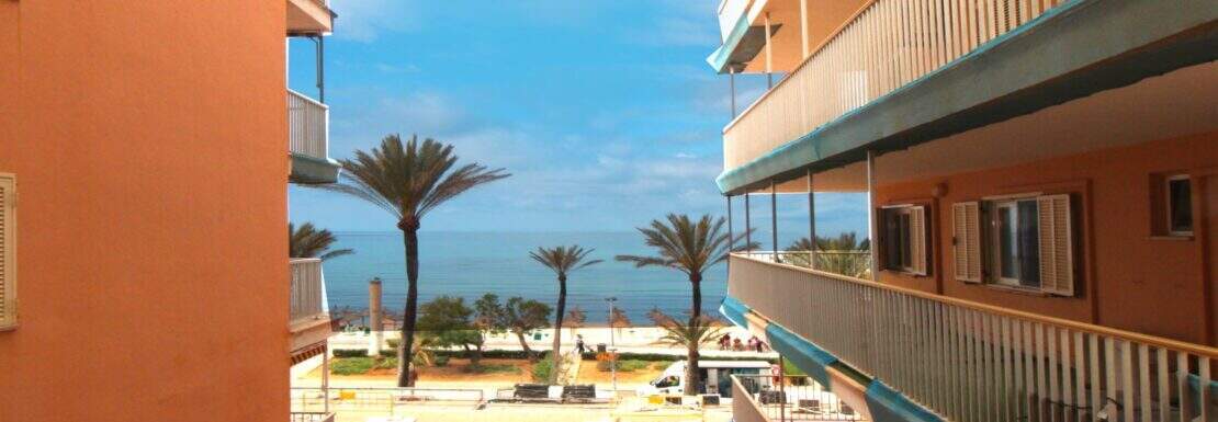 View from the terrace