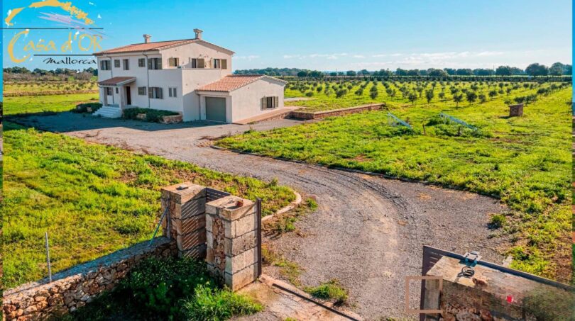 Neubau-Landhaus in Porto Cristo mit Kieseinfahrt, Garage und weitläufigen Olivenfeldern unter blauem Himmel.