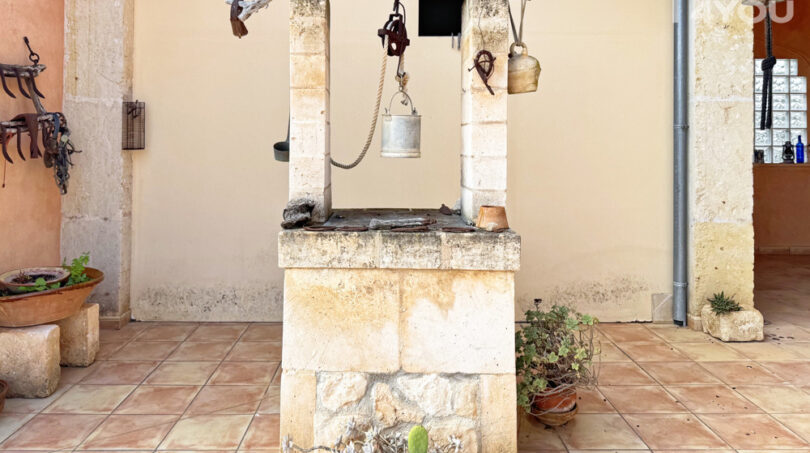 Fuente
