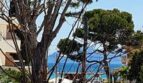 Straße in Alcúdia mit Pinien, Meerblick und Strandnähe – Lage des exklusiven Anwesens.