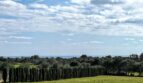 Amplio terreno verde de la finca con avenida de cipreses, olivos y vistas al mar en Porto Cristo