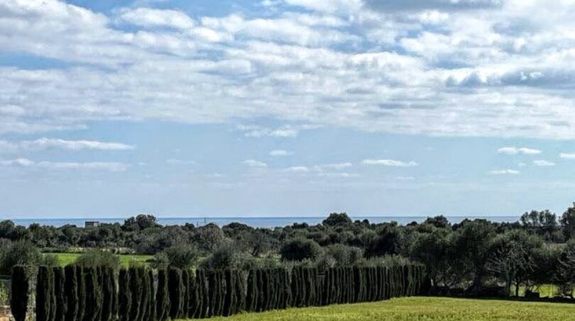 Amplio terreno verde de la finca con avenida de cipreses, olivos y vistas al mar en Porto Cristo