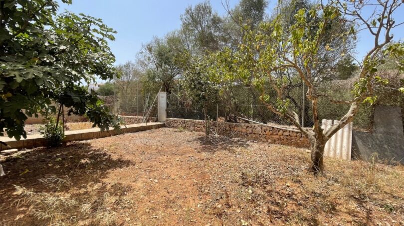 Naturgrundstück mit Obstbäumen, Trockenmauer und Metallzaun eines Zweifamilienhauses in Portocolom