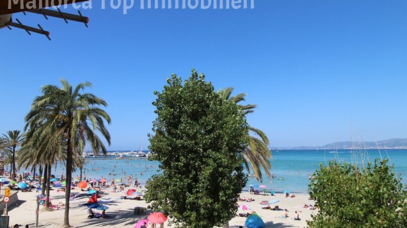 Strandblick aus Wohnung in El Arenal: Türkises Meer, Sandstrand, Palmenbäume, Boote und Badegäste in Palma de Mallorca.