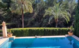 Private pool with turquoise water, palm trees and manicured hedge of the exclusive villa in Calvià.