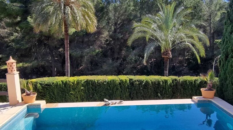 Piscina privada con agua azul turquesa, palmeras y seto bien cuidado de la villa exclusiva en Calvià.