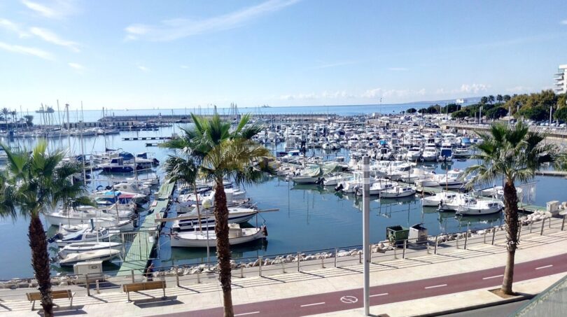 Blick auf den Hafen von Palma de Mallorca mit Booten, Palmenpromenade und Meerblick bei Sonnenschein.