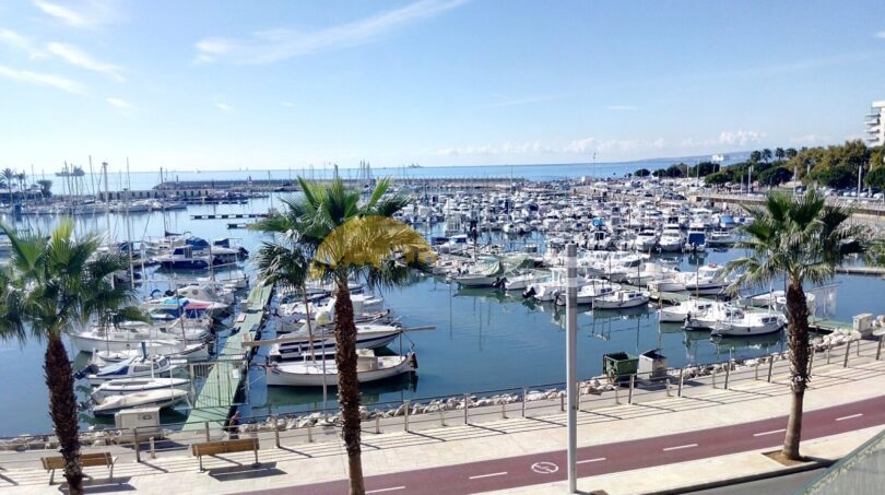 Panoramablick auf den Hafen von Palma mit Booten, Palmenpromenade und blauem Mittelmeer
