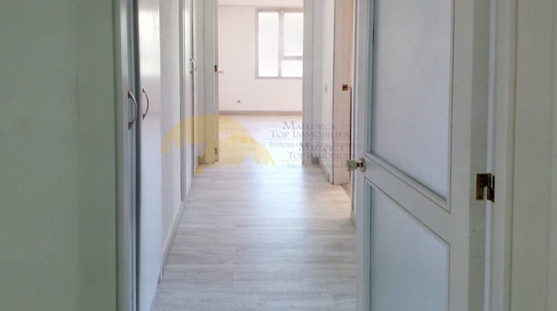 Heller Flur mit Laminatboden und weißen Türen in exklusiver Hafenwohnung in Palma de Mallorca.