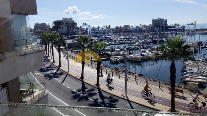 Hafenwohnung Palma: Blick auf Marina mit Yachten, Palmenpromenade und Radweg bei Sonnenschein
