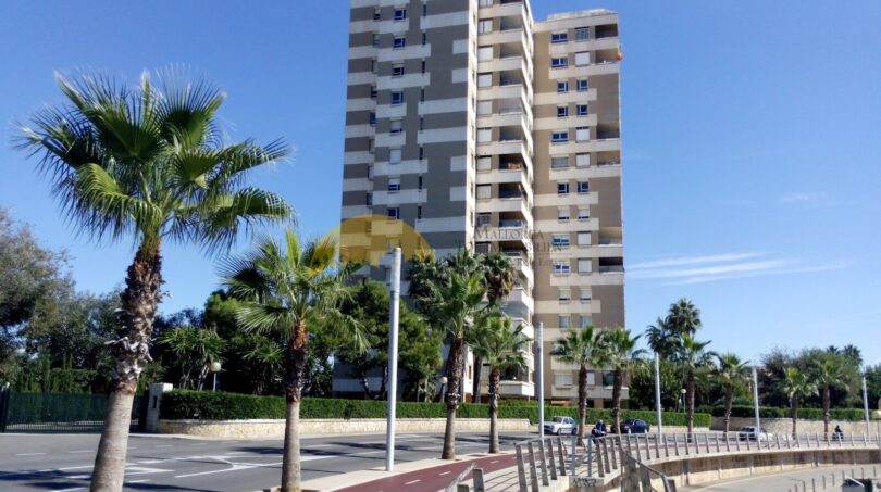 Hochhaus-Apartmentgebäude in Palma de Mallorca mit Palmen und Radweg in Hafennähe.