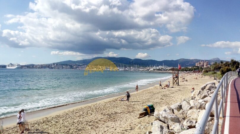 Sandstrand von Palma de Mallorca mit Meeresblick, Radweg und Kathedrale im Hintergrund