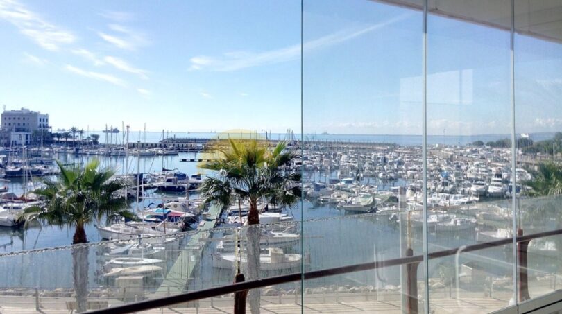 Verglaster Balkon mit Panoramablick auf den Hafen von Palma, Yachtmarina und Palmen unter blauem Himmel.