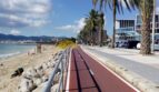 Strandpromenade Palma de Mallorca mit Radweg, Palmen und Meerblick in Hafennähe