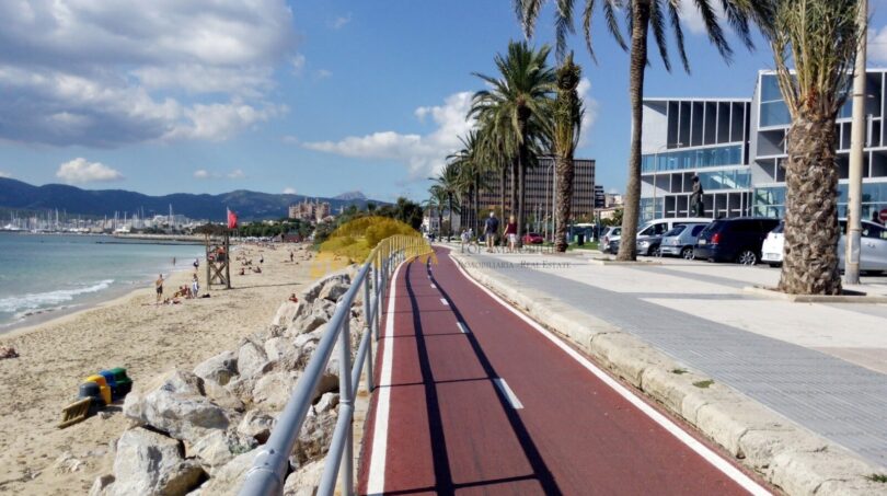 Strandpromenade Palma de Mallorca mit Radweg, Palmen und Meerblick in Hafennähe