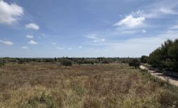 Finca mit Altgenehmigung – modernes Neubauprojekt zwischen Manacor & Porto Cristo