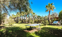 Autarke Palmenfinca in Algaida mit Privatsphäre und Gästehaus