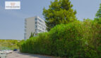 DSC_4883-Editar