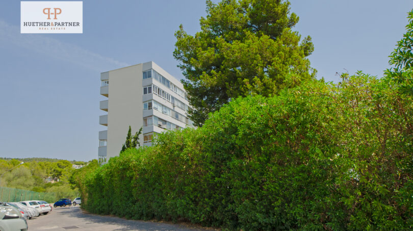 DSC_4883-Editar