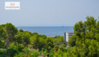 DSC_4862-Editar