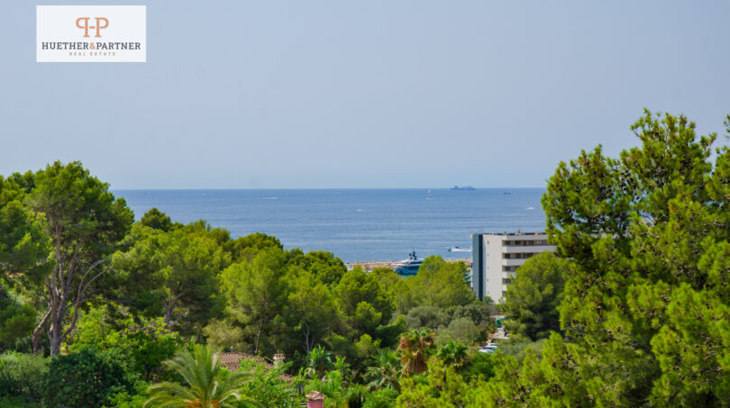 DSC_4862-Editar