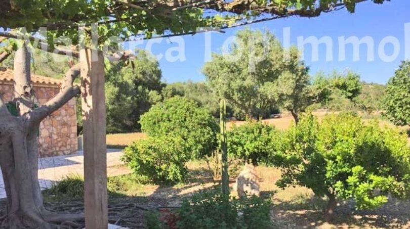 Finca Anwesen in Cas Concos