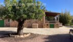 Finca Anwesen in Cas Concos