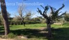 Finca Anwesen in Cas Concos