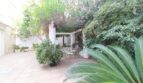 Idyllischer Innenhof der Villa in Alcúdia mit weißen Gartenmöbeln, Palmen und üppigem Grün.