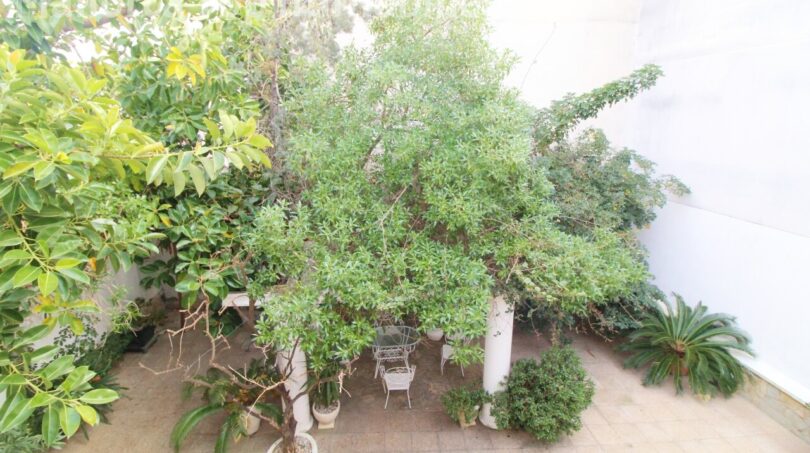 Bepflanzter Innenhof der Villa in Alcúdia mit großen Bäumen, Sitzgruppe und weißen Säulen.