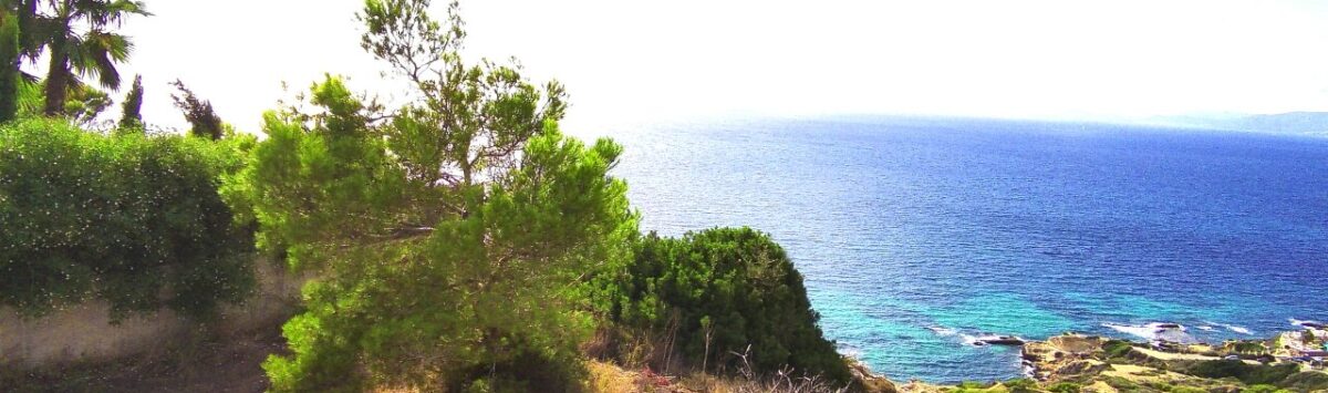 Terreno edificable en Llucmajor con vista al mar de la bahía de Palma, rodeado de vegetación mediterránea