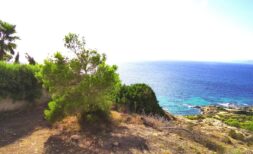 Building plot in Llucmajor with sea views over Palma Bay, surrounded by Mediterranean vegetation