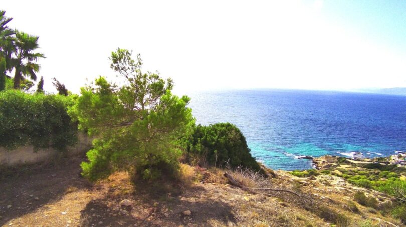 Terreno edificable en Llucmajor con vista al mar de la bahía de Palma, rodeado de vegetación mediterránea