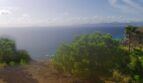 Vista panorámica del terreno para construir First Line a la bahía de Palma con pinos y vistas al mar en Llucmajor.