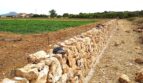 Rustikale Natursteinmauer begrenzt landwirtschaftliche Fläche der Finca in Manacor, Mallorca