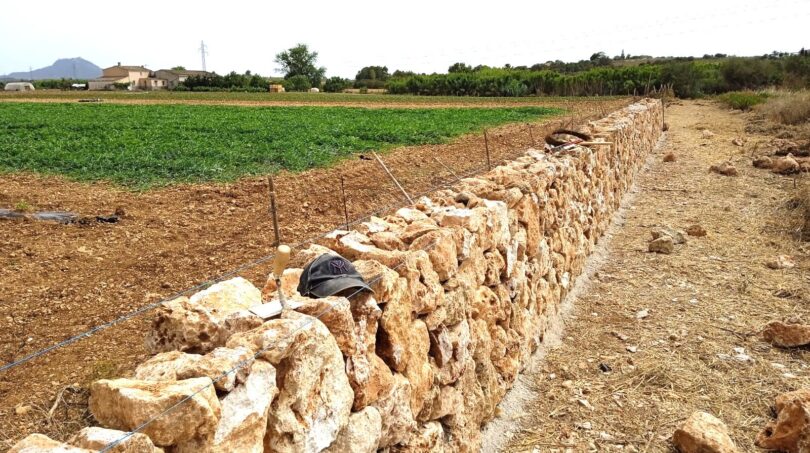 Rustikale Natursteinmauer begrenzt landwirtschaftliche Fläche der Finca in Manacor, Mallorca