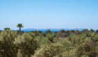 Vistas