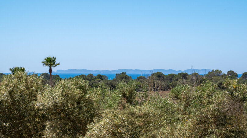 Vistas