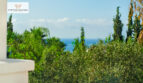 DSC_7319-Editar