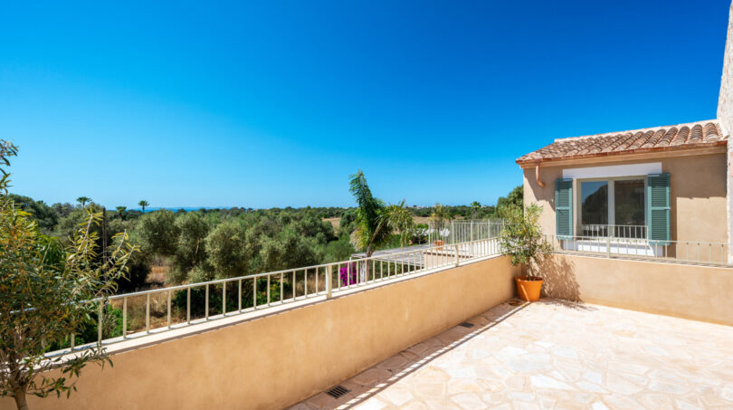 Terraza 
