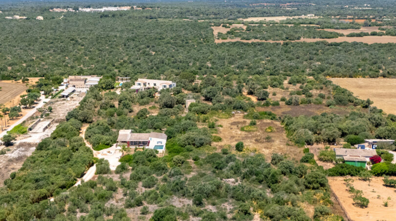 Vista aerea