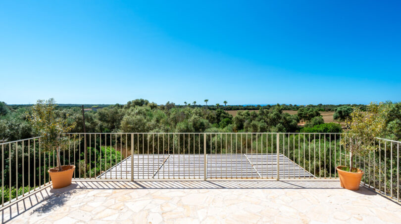 Terraza